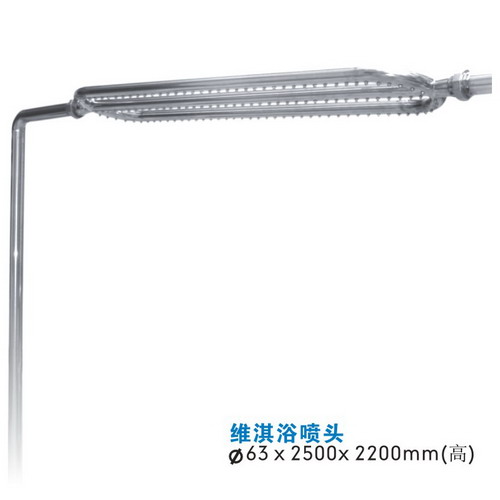 水疗SPA配套设备-不锈钢维淇浴喷头